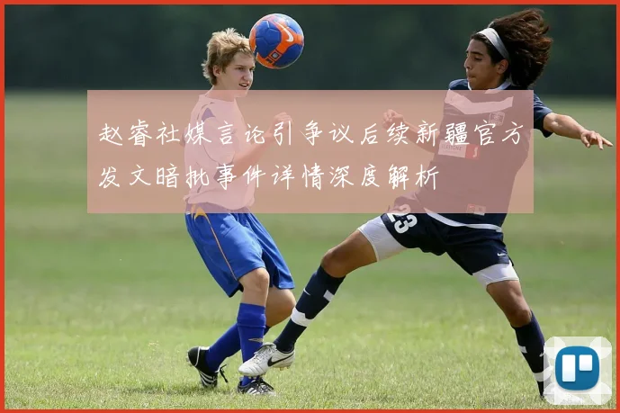 赵睿社媒言论引争议后续新疆官方发文暗批事件详情深度解析