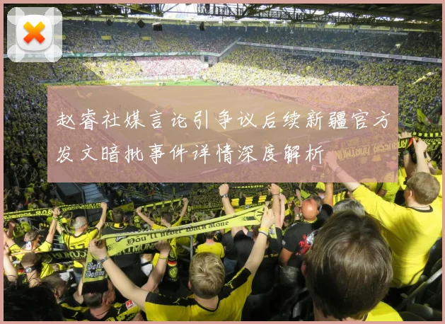 赵睿社媒言论引争议后续新疆官方发文暗批事件详情深度解析